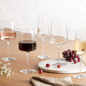 Bormioli Terina Wine Glass Collection